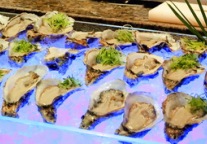 北京万达铂尔曼大饭店五月缤纷促销