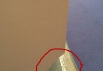 赔钱虽易,品牌不易,且行且珍惜