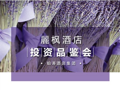 丽枫酒店投资品鉴会郑州站8月19日召开