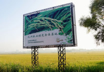 远洲旅业绿色食品基地落户“贡米”之乡