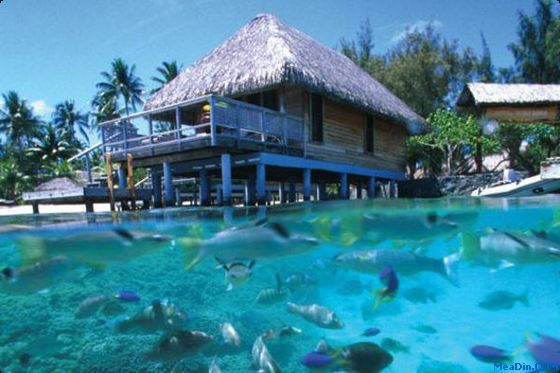 ϣᵺel borabora
