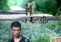 皮皮网:《初见》团队又一力作