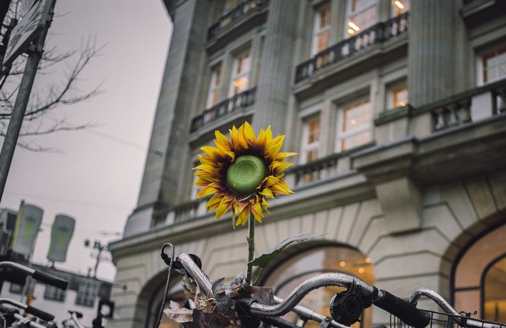 东京奥运会延期,日本入境游 “黄了”,中国这些领域将受牵连!