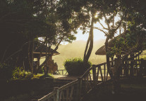 迈点译讯丨对标OYO?印度最大经济连锁酒店Treebo获300万美元融资