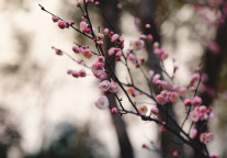 一个武汉五星级酒店人的自我拯救之路