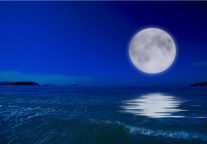 破局:一季度亏损5.7亿元,景区上市公司如何突围?