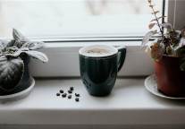 迈点译讯 | 接下来的6个月,美国游客们可能还是想宅在家里