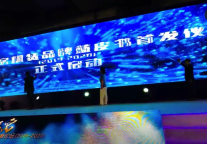 《中国住房租赁品牌发展报告(2019-2020)》蓝皮书发布仪式