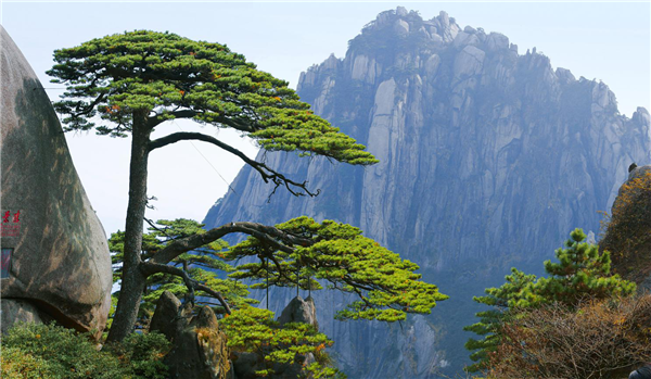 文化与自然遗产,世界地质公园,世界生物圈保护区,是国家级风景名胜区