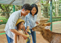 发力一站式亲子度假产品 恒大酒店集团“双十一”再创辉煌