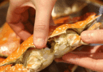 冬日最爱!奉化天港禧悦酒店滋补牛羊宴来啦!