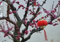 就地过年带火“居家经济”,民宿能否迎来爆红的春天?