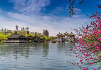 面朝城外,春暖花开——春日踏青好去处,首旅如家发布2021春季赏花图