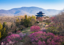 北京解禁带来酒店预订飙升,利好首旅如家等企业分享踏青赏花季红利