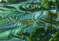 同比上升119%!旅悦集团第一季度开门红,各品牌全维度数据增长