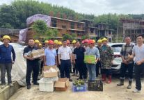 【假期不停工】狠抓项目建设 持续优化营商环境