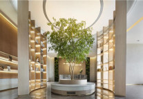 再进杭州 方隅公寓至2025年将布局20万间长租公寓