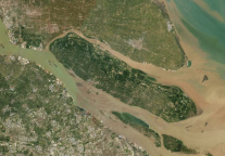 钱三毛:崇明岛精品民宿调研纪实