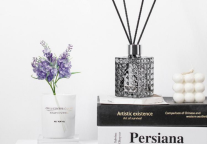 初春打盹犯困没精神?麗枫酒店同款好物让你轻松保持满满活力!