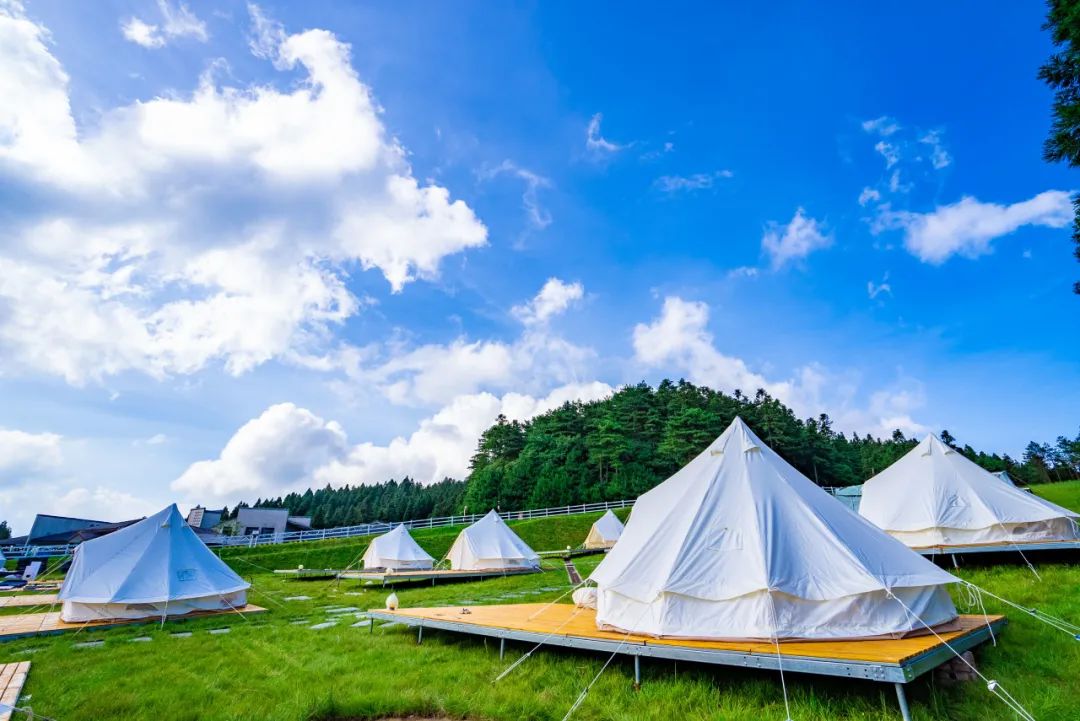 苏伢子携母畅游明月山景区,孝心之旅引网友点赞