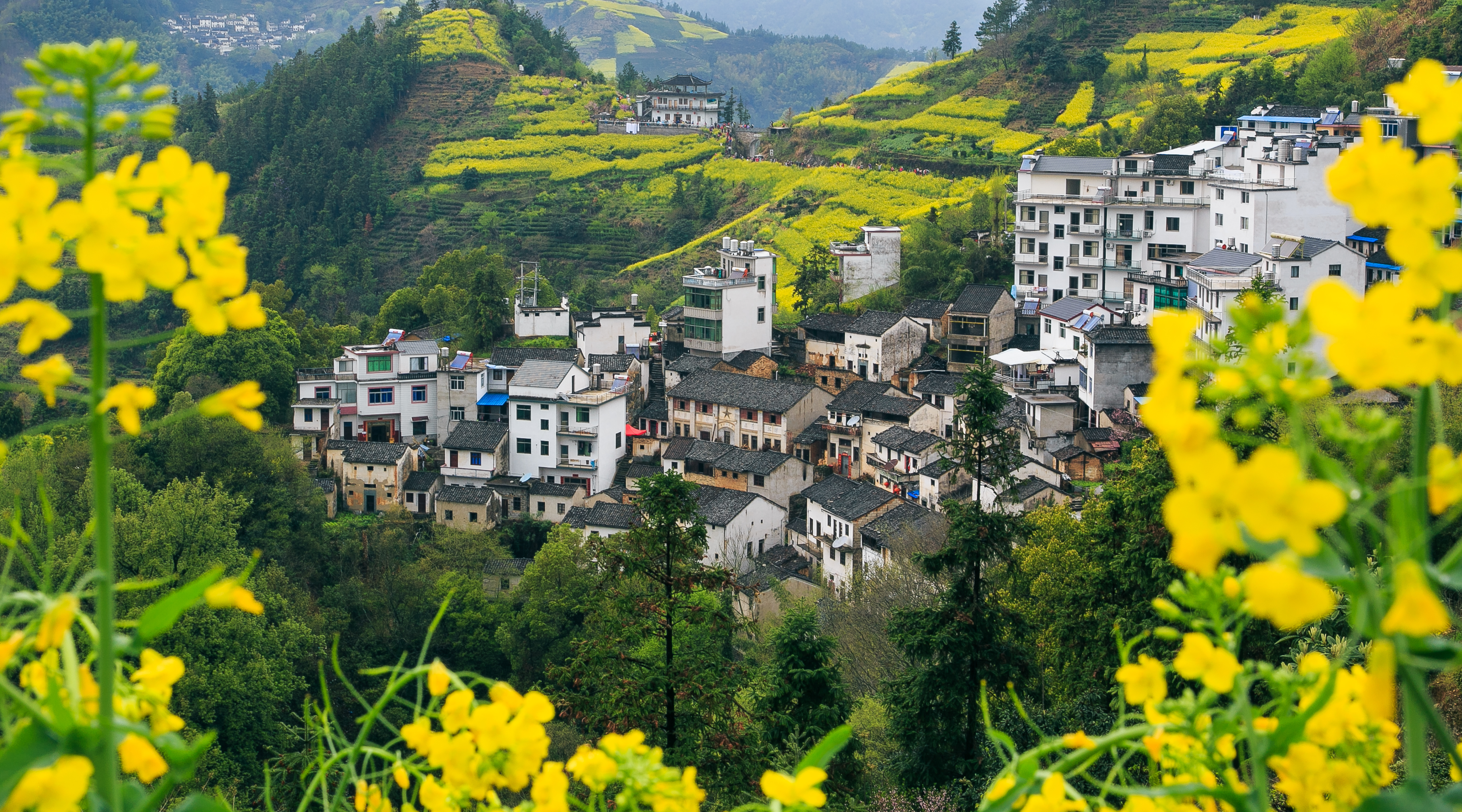 江西拟确定22家旅游景区为国家4A级旅游景区