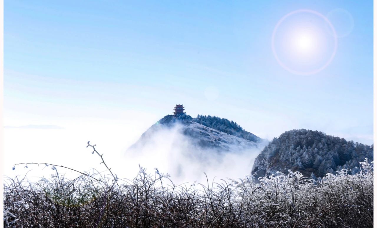 每年必看!峨眉山景区冬季顶流来了
