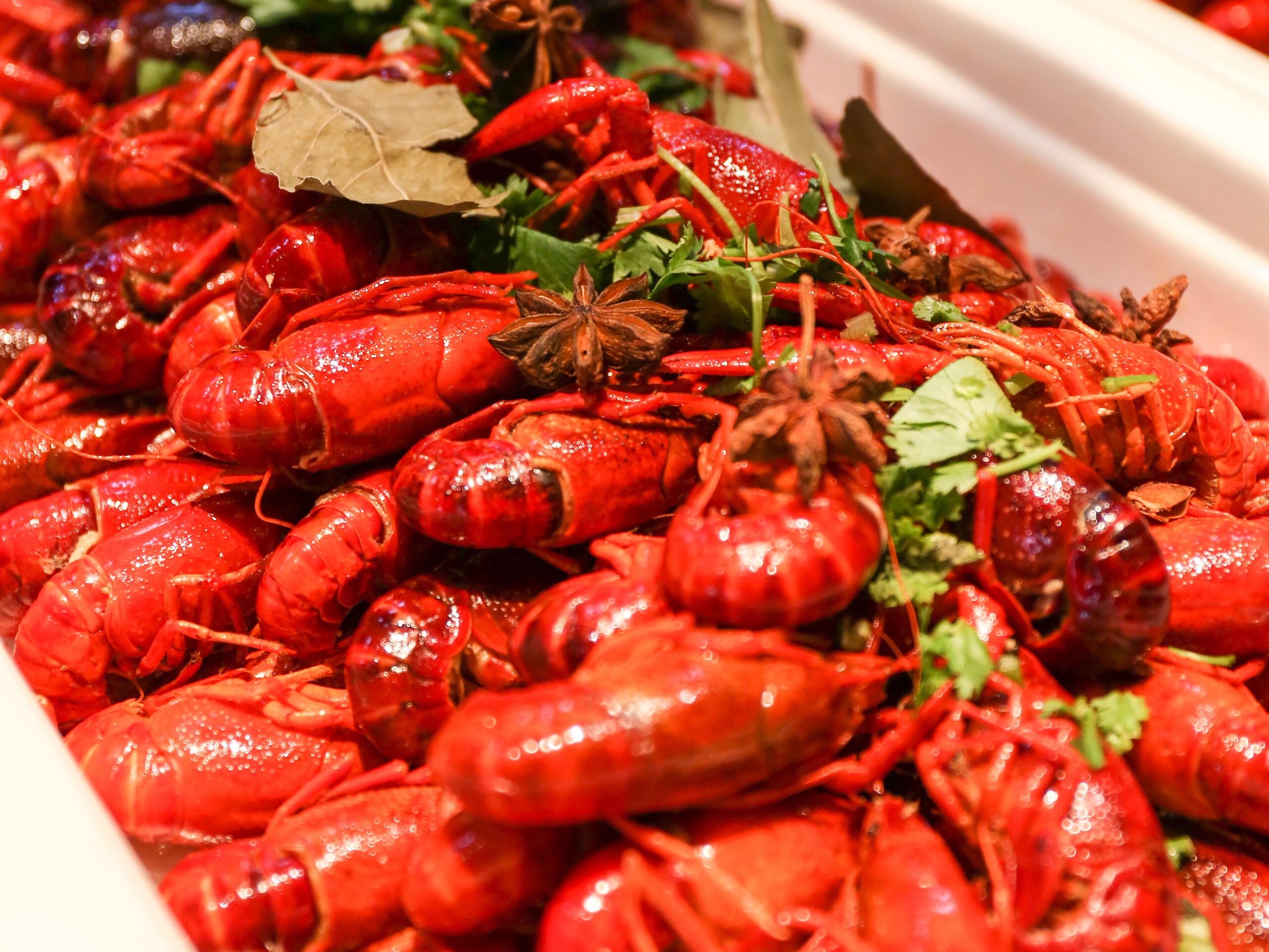 济宁富力万达嘉华酒店小龙虾美食节嗨翻夏日