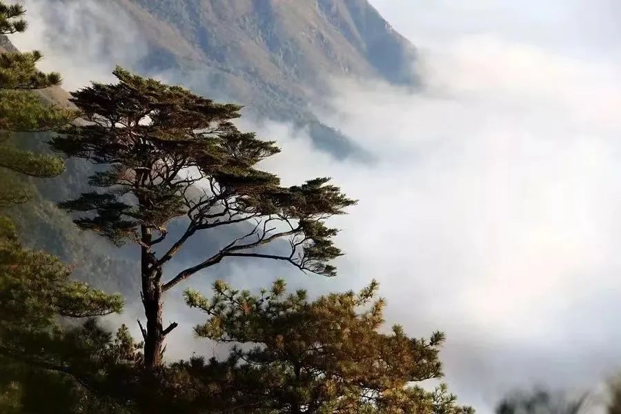 画中武功山,带你 get新的打卡方式~