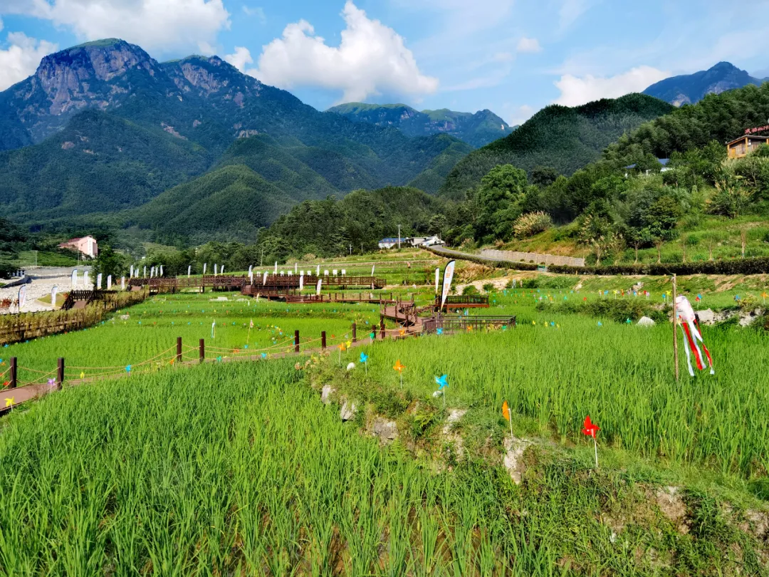 【户外天堂 度假胜地】武功山景区花海季即将来临!