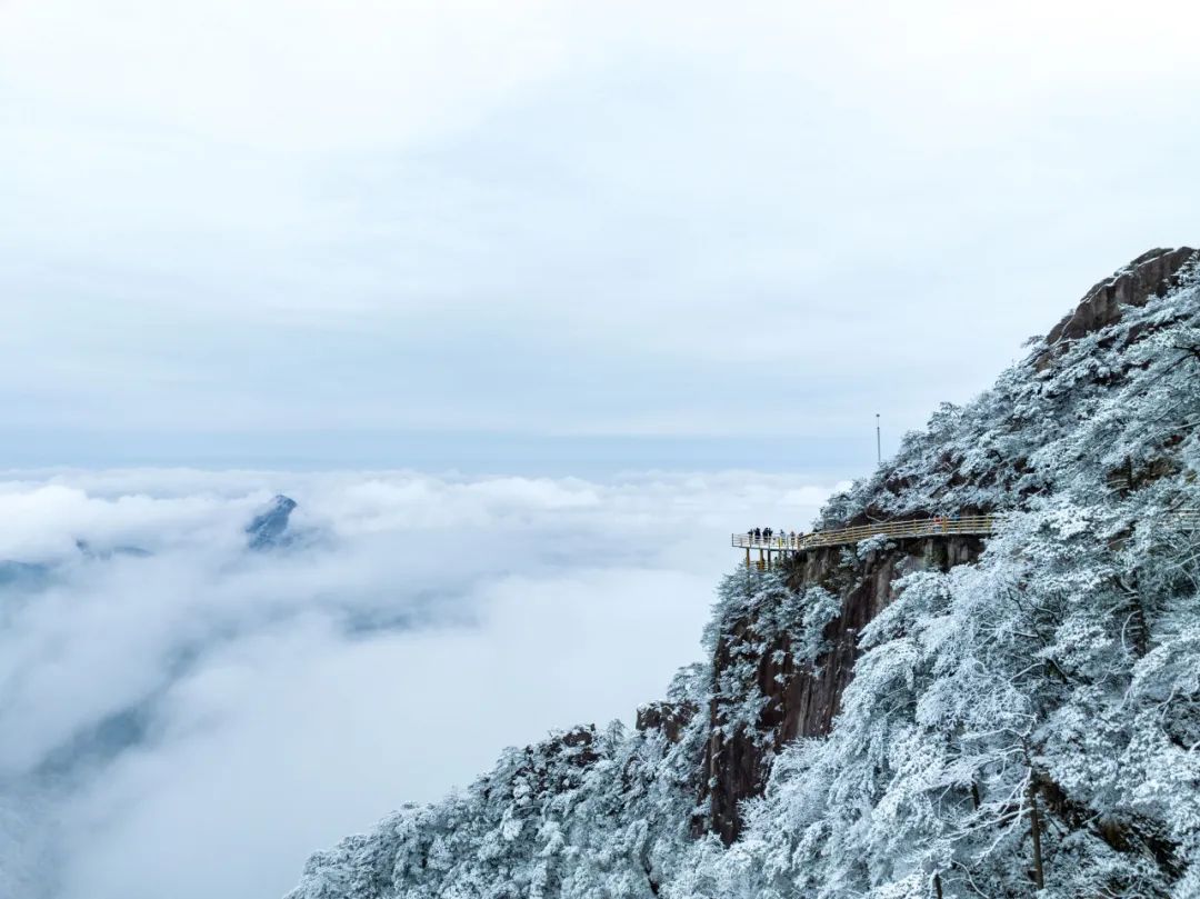 有冬要来,有雪入怀,一起来明月山看雪吧!
