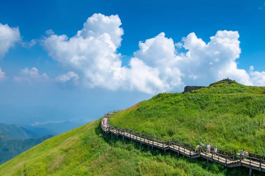 不去一趟绿色系的武功山景区,真的会遗憾!