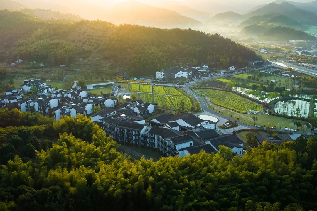君澜酒店董事长王建平在2025全国绿色饭店评审员大会发表专题演讲