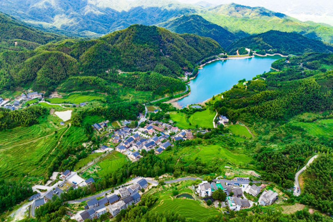 《人民日报》大篇幅刊发【明月山的北麓(逐梦)】