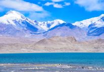 来喀什青皮树酒店,体验鲜活的西域生活