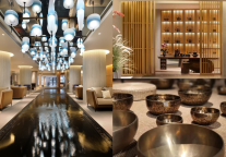 突破1000家!锦江酒店(中国区)呵护地球不止“一小时”