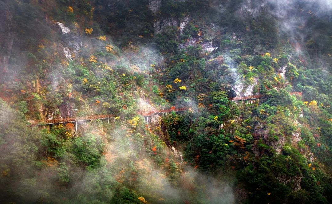 一场盛大的秋天,听武功山娓娓道来