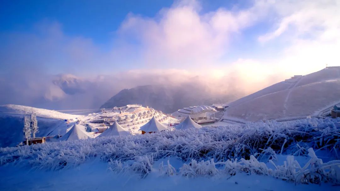 冬天,已经开始期待武功山的雪景了