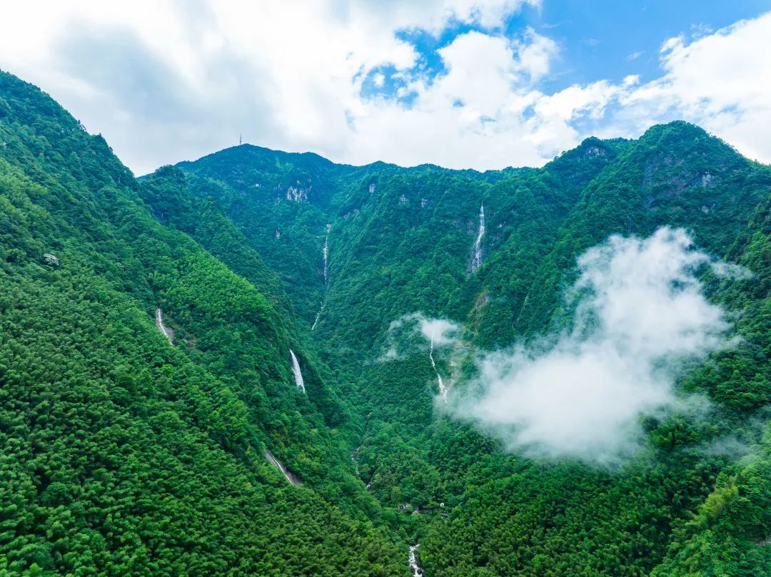 消费提振年,文旅景区如何营造“消费新场景”?
