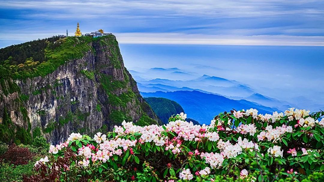 峨眉山景区-春茶为媒 “峨眉山A”八大产业闪耀明星足球赛