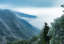 江西庐山风景区3月对全体海内外游客免收门票