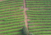 湖州四象文旅集团10亿元私募债券项目更新至“已反馈”