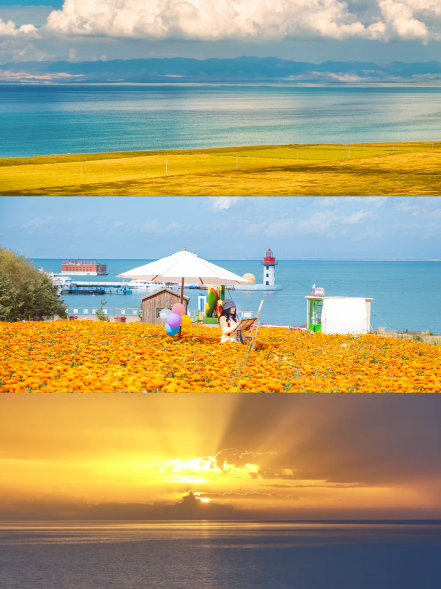 秋季风光美学|花未谢,月已升!这是青海湖景区秋天的顶级浪漫!