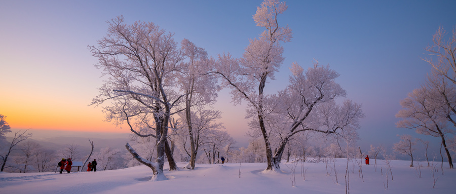 美团旅行:哈尔滨文旅预订同比增速近20%,冰雪大世界搜索量上涨近163%