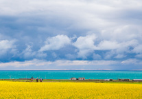 白玉兰初绽魅力夏都 西宁首家白玉兰酒店开业