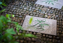 探索:刘军谈中国特色酒店集团发展之君澜模式