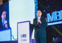 维也纳陈勇:最早一批做中档的酒店 正在走向新格局