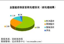 2008年全国星级饭店复核报告