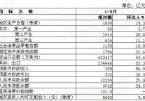 [重庆]10年1-5月主要经济指标