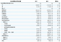 [宁夏]10年6月社会消费品零售总额
