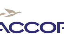 最受酒店人喜爱的十大国际酒店集团品牌入围名单(14)